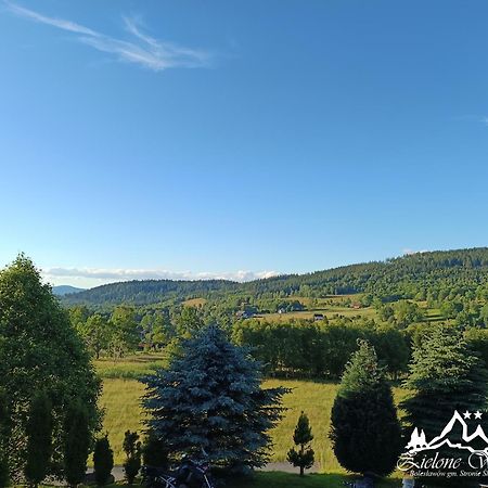 Pensjonat Zielone Wzgorze W Boleslawowie Stronie Slaskie Exterior photo