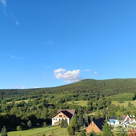 Pensjonat Zielone Wzgorze W Boleslawowie Stronie Slaskie Exterior photo