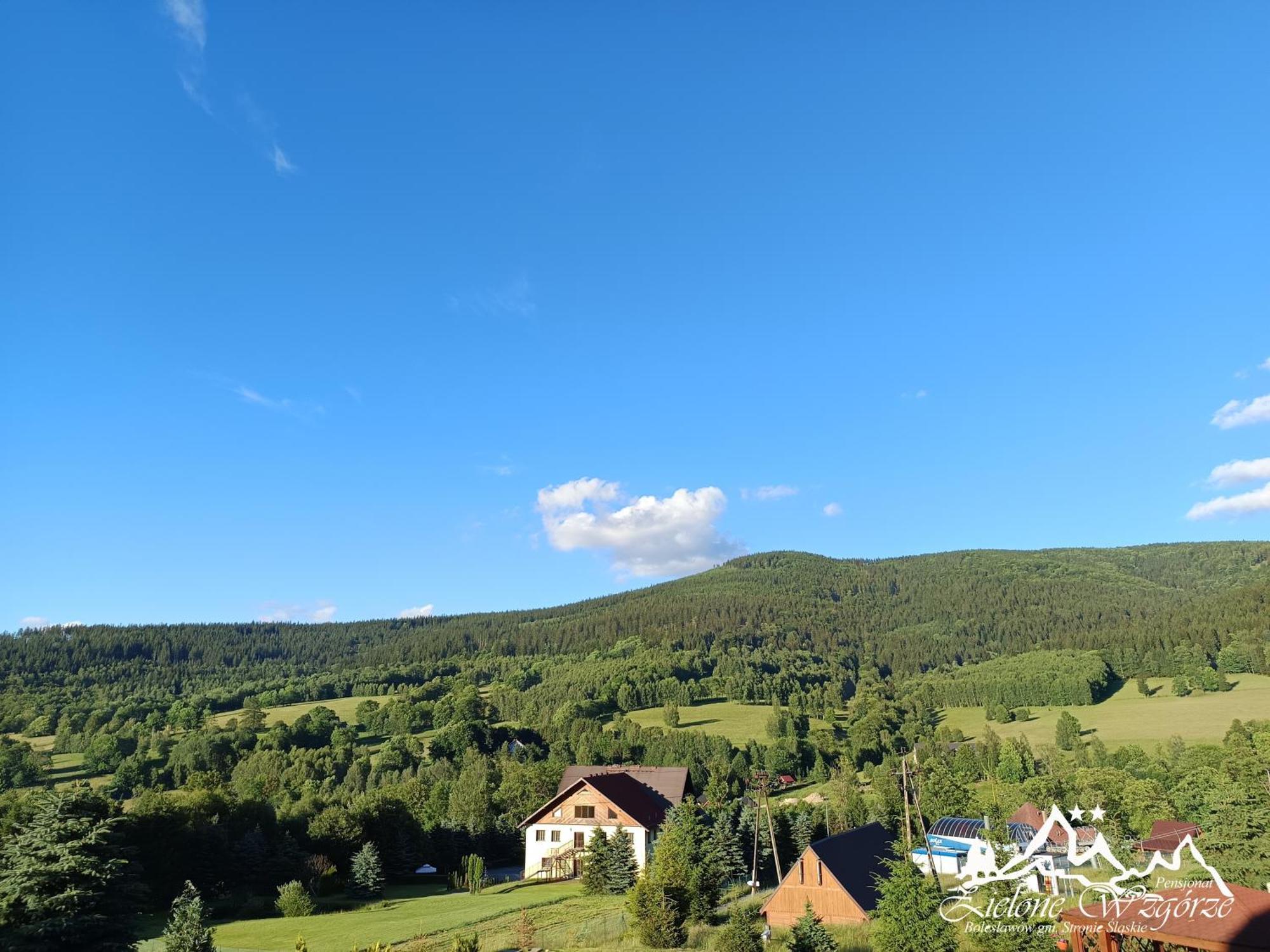 Pensjonat Zielone Wzgorze W Boleslawowie Stronie Slaskie Exterior photo